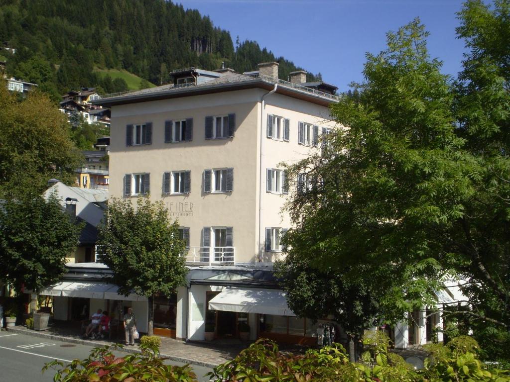 Apartamento Steiner - In - Out Zell am See